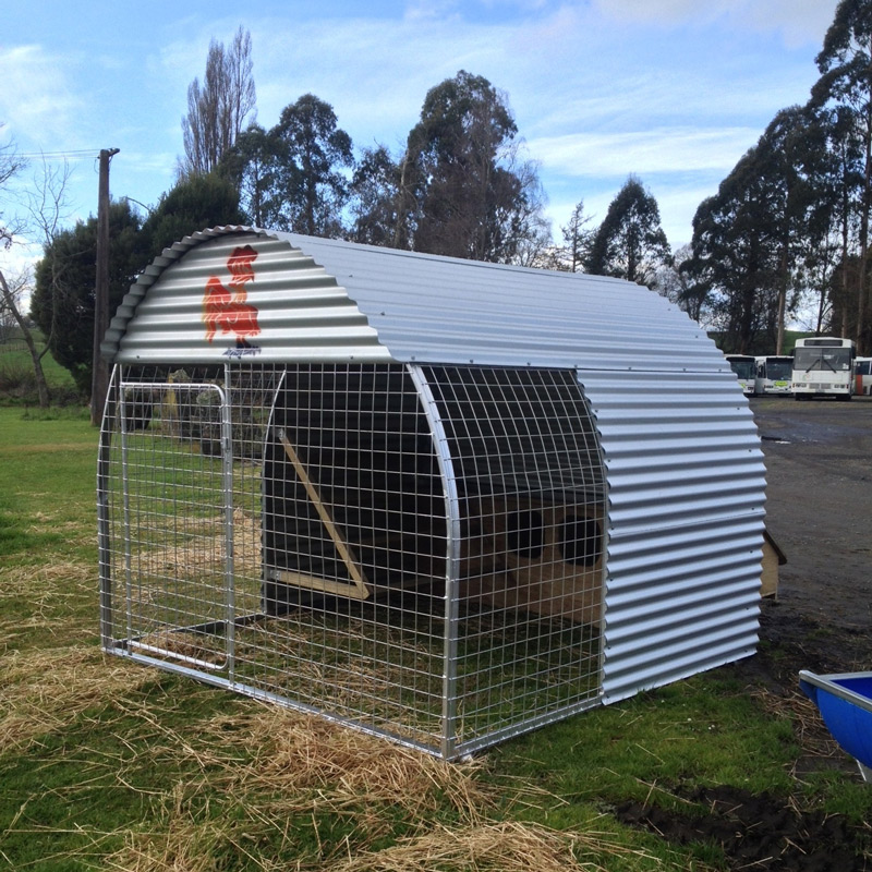 Large Chook House Model